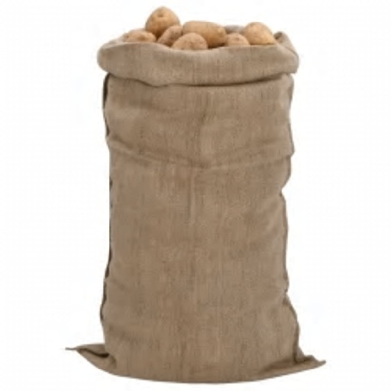 stradeXL Jute Sacks 30 pcs...