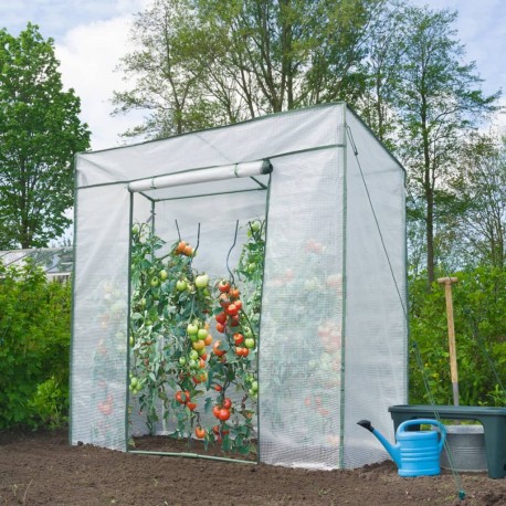 Nature Tomato Greenhouse...