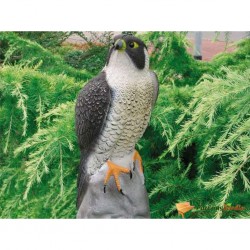 Ubbink Animal Figure Falcon...