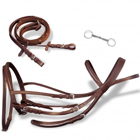 Leather Flash Bridle with...